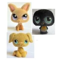 3 pet shop velours.