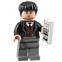 CROYANCE BELLEBOSSE LEGO SÉRIE HARRY POTTER ET LES ANIMAUX FANTASTIQUES