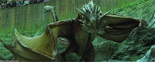 La saga d'Harry Potter et son Label 