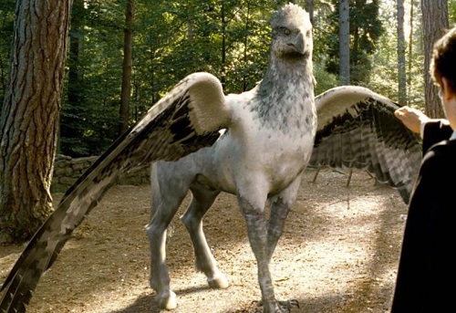 La saga d'Harry Potter et son Label 